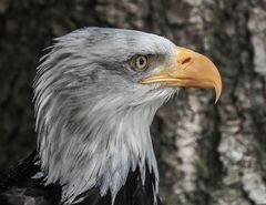 Fotografiert im Juli 2013/ Hellenthal