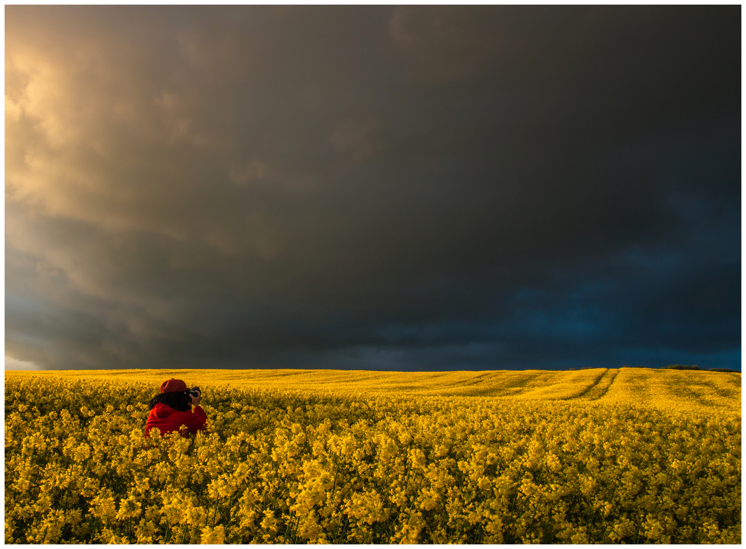 Fotografin im Rapsfeld