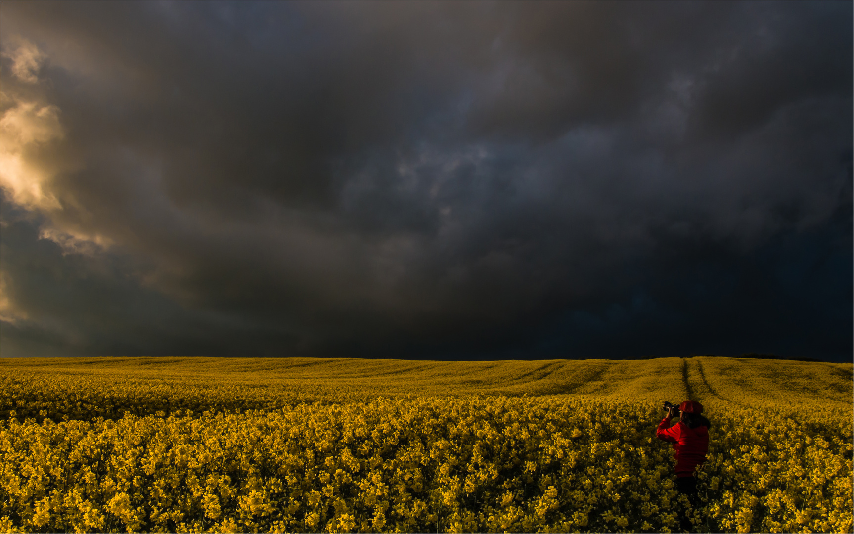 Fotografin im rapsfeld ll