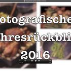 Fotografischer Jahresrückblick 2016