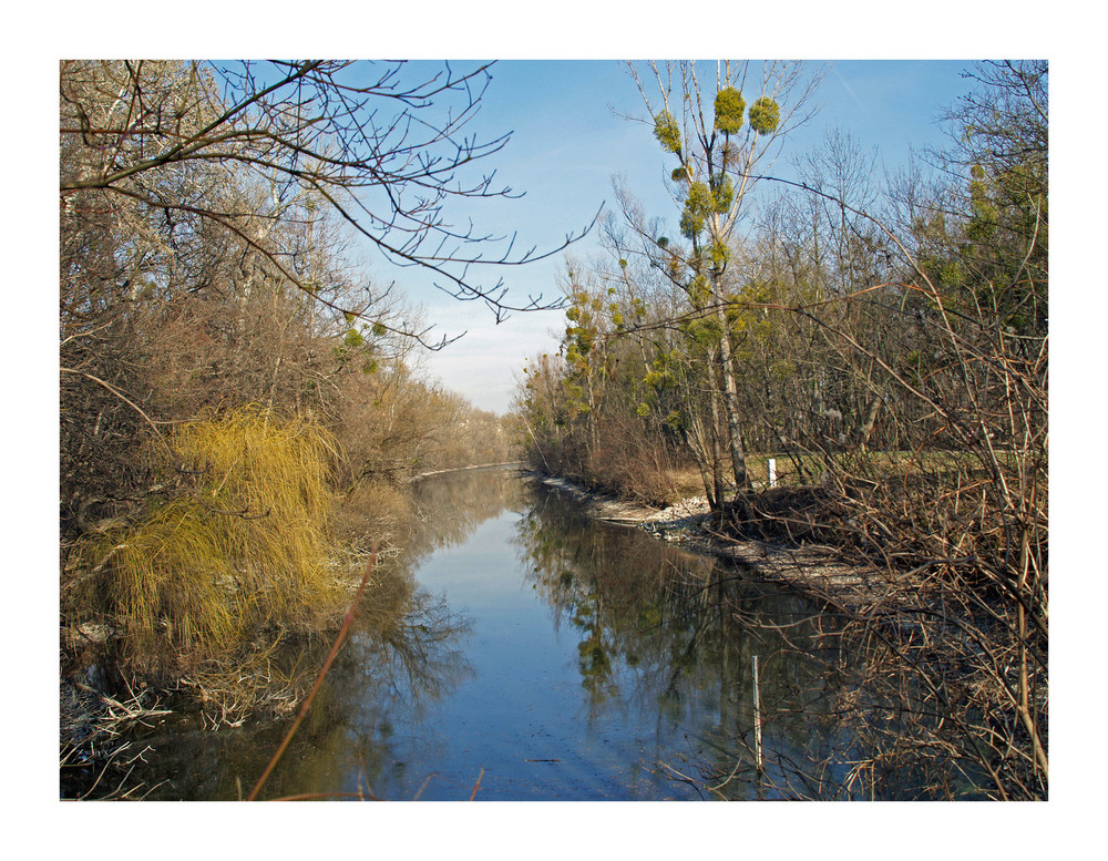 Fotografischer spaziergang durch die wr. praterauen