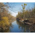 Fotografischer spaziergang durch die wr. praterauen