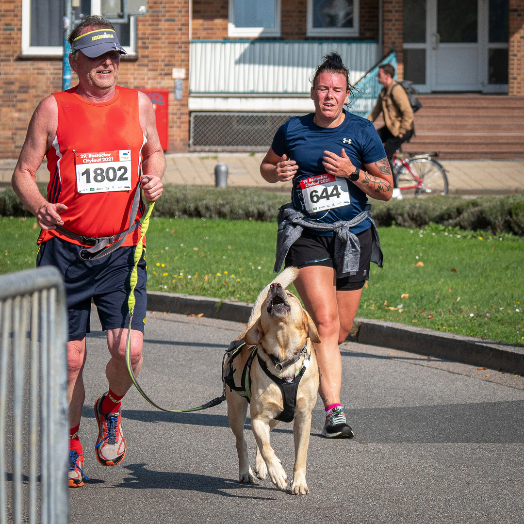 Fotoimpressionen vom Rostocker Citylauf 2021