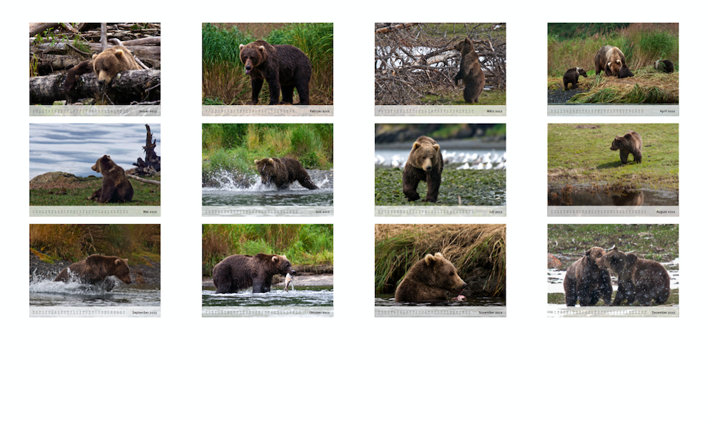 Fotokalender 2012 - Grizzlies