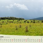 Fotokalender Thüringer Landschaften 2016, September