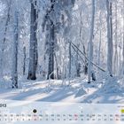 Fotokalender Thüringer Landschaften Februar 2013