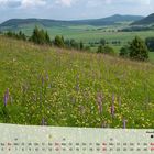 Fotokalender - Thüringer Landschaften - Juli 2014