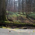 Fotokalender Thüringer Landschaften März 2013