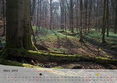 Fotokalender Thüringer Landschaften März 2013