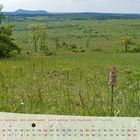 Fotokalender Thüringer Landschaften Mai 2013