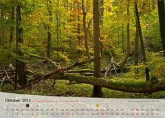 Fotokalender Thüringer Landschaften Oktober 2013