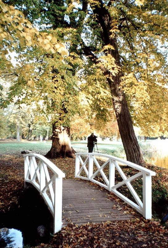 Fotokommunty-Brücke zur Leidenschaft