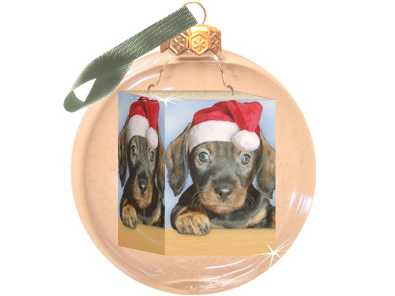 Fotokugel mit Foto eines Hundebabys, Christbaumkugel mit Foto, Foto-Weihnachtskugel