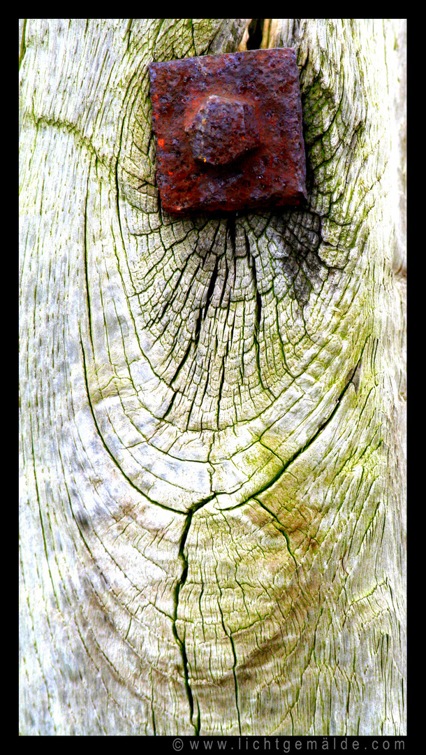 Fotokunst - Christine von Wiegen - Lichtgemälde - Holz und Co. 16