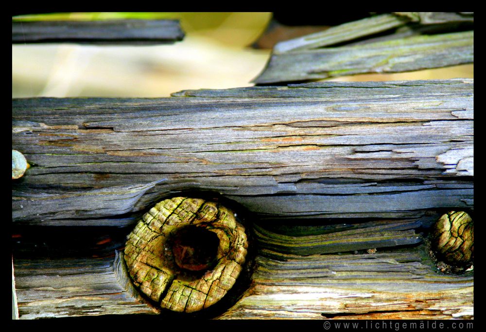 Fotokunst - Christine von Wiegen - Lichtgemälde - Holz und Co. 18