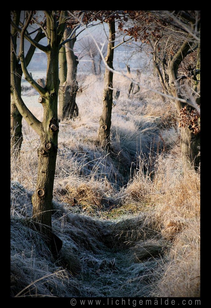 Fotokunst - Christine von Wiegen - Lichtgemälde - Landschaften 01