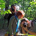 Fotokurs Dresden Blasewitz