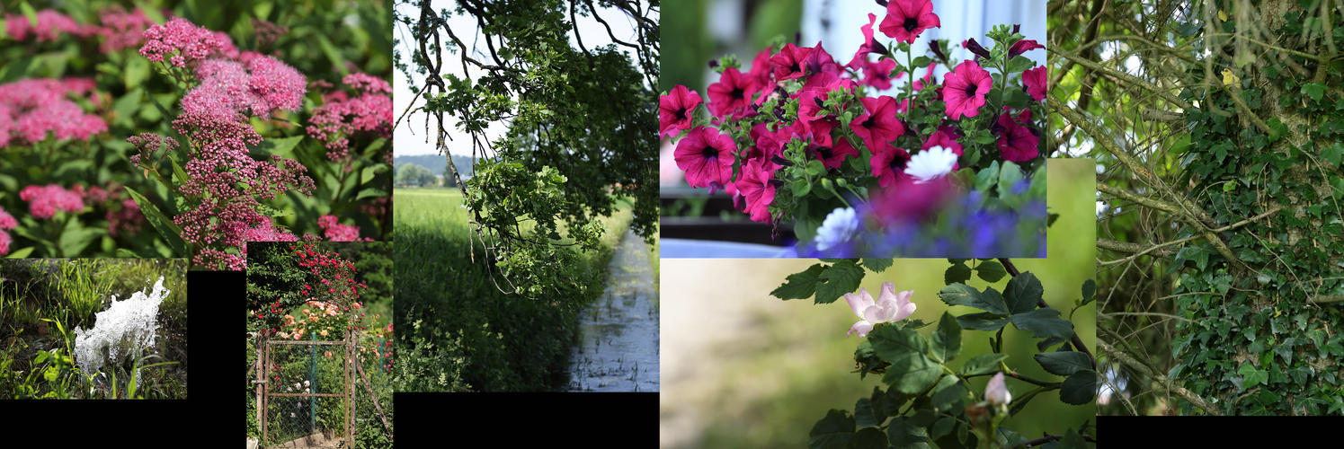 Fotokurs Ergebnisse