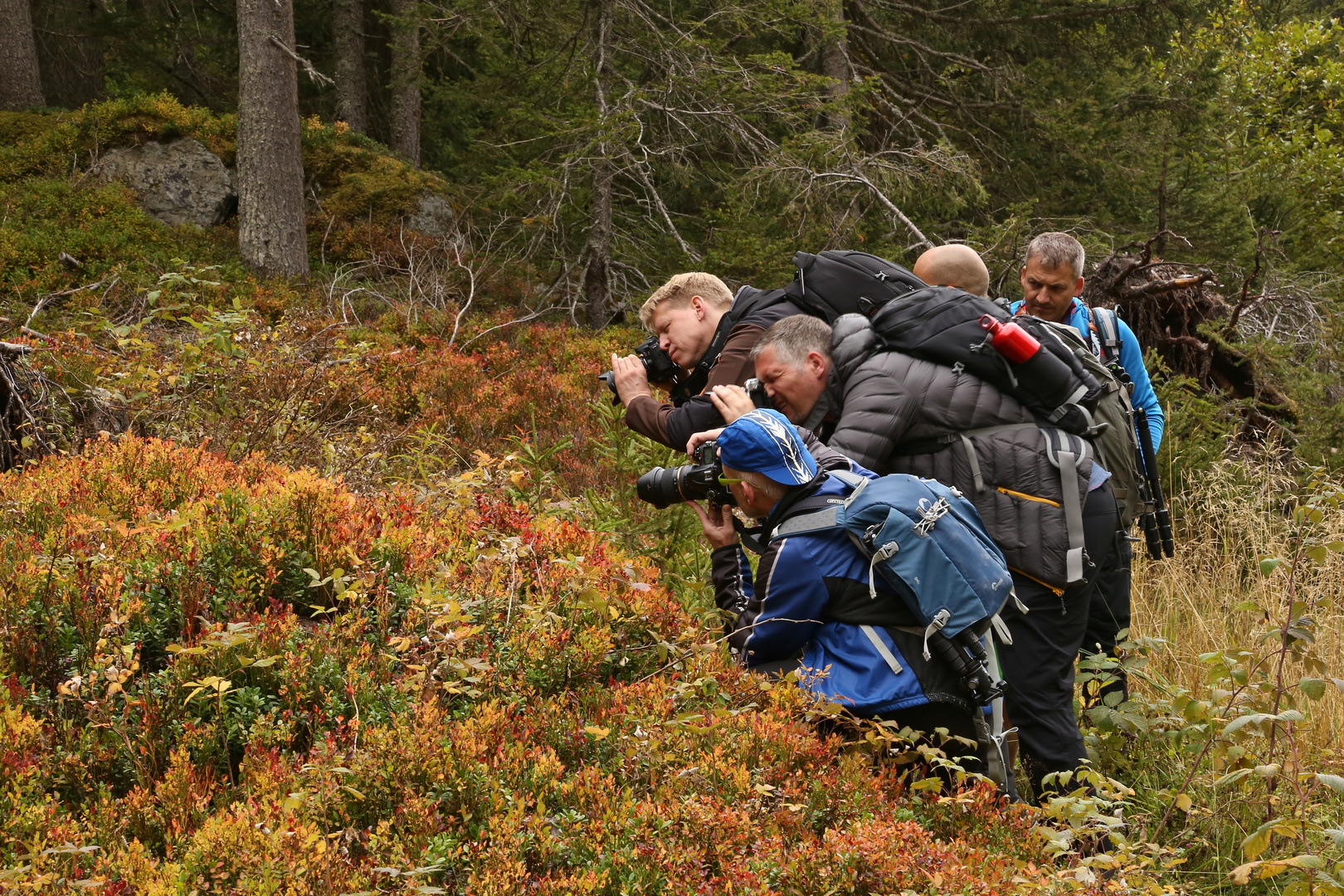 Fotokurs im Herbst (2016_10_01_EOS 6D_9640_ji)