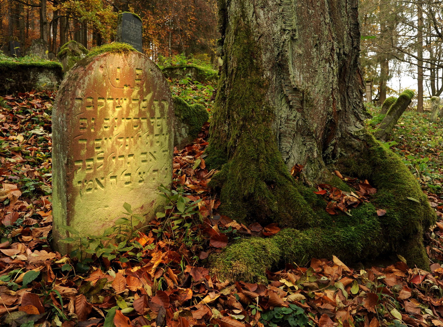 Fotokurs: Jüdische Kultur in der Rhön