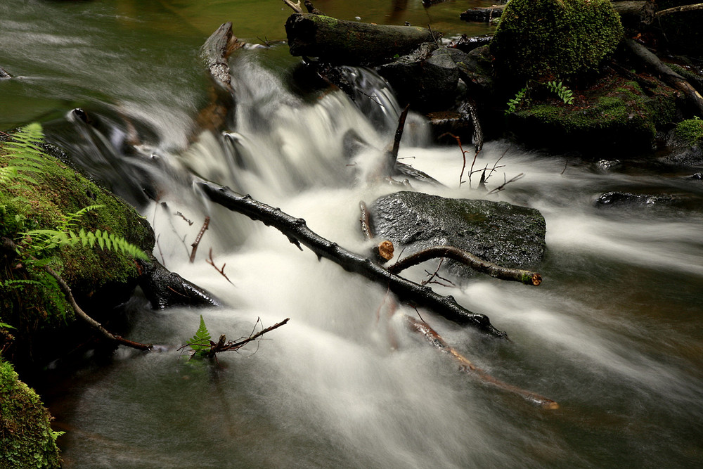 Fotokurs Karlstal