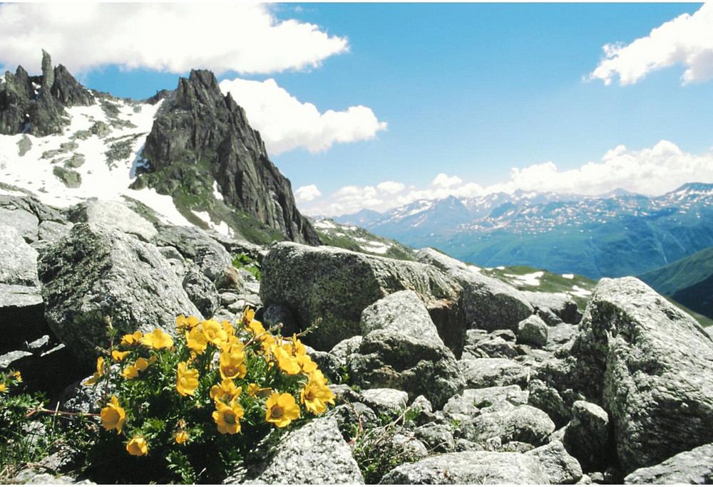 Fotokurs Realp - auf dem Weg zur Sidelenhütte, Chli Bielenhorn