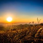 Fotokurs Wasserkuppe (Aufnahme von Marc Niedermeyer)