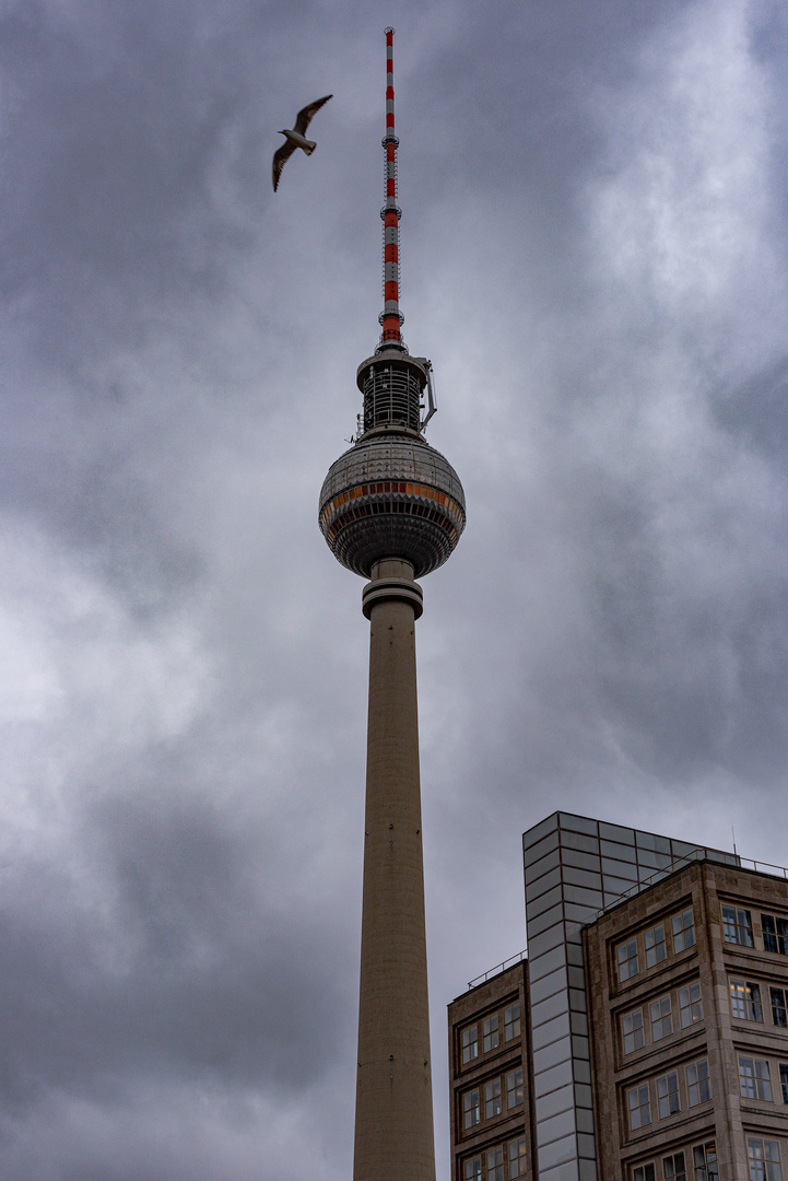 FotokurseFrankfurtamMain-FotoTour-Berlin-05.&06.01.2018-1-2