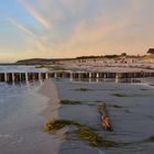 Fotolicht im Oktober auf Hiddensee 