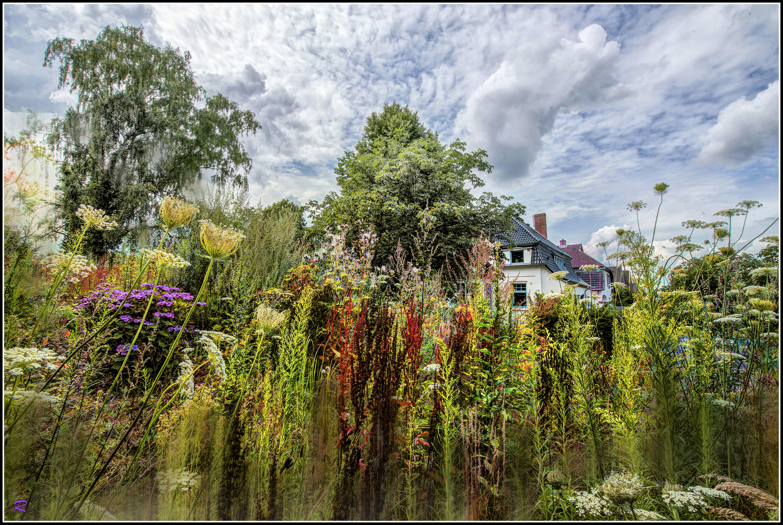 FOTOMALEREI: Garten in freier Entfaltung