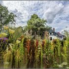 FOTOMALEREI: Garten in freier Entfaltung