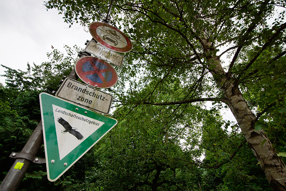 Fotomarathon Stuttgart 2015 "Den Wald vor lauter Bäumen nicht sehen" 2 von 12