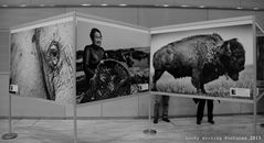 Fotomesse Wien - Pictures at an exhibition (03)