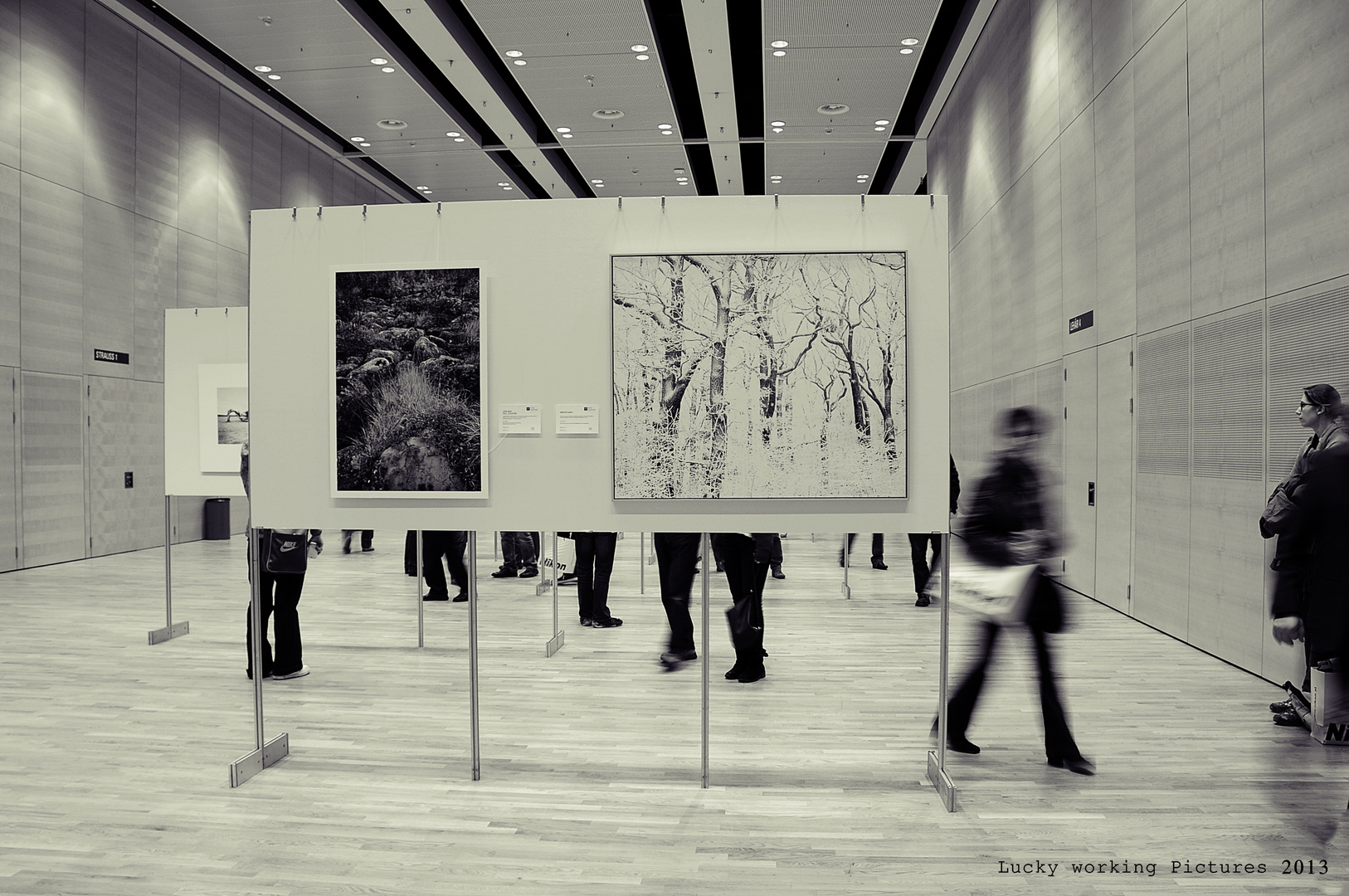 Fotomesse Wien - Pictures at an exhibition (04)