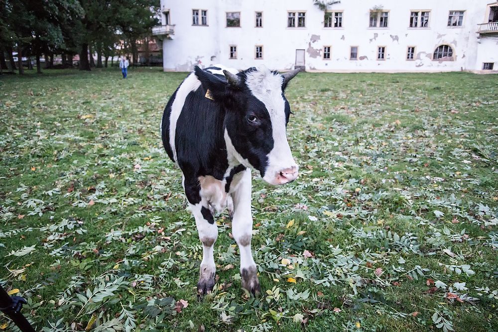 Fotomodell in schwarz-weiß....