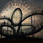 Fotomontage von Tiger and Turtle Duisburg