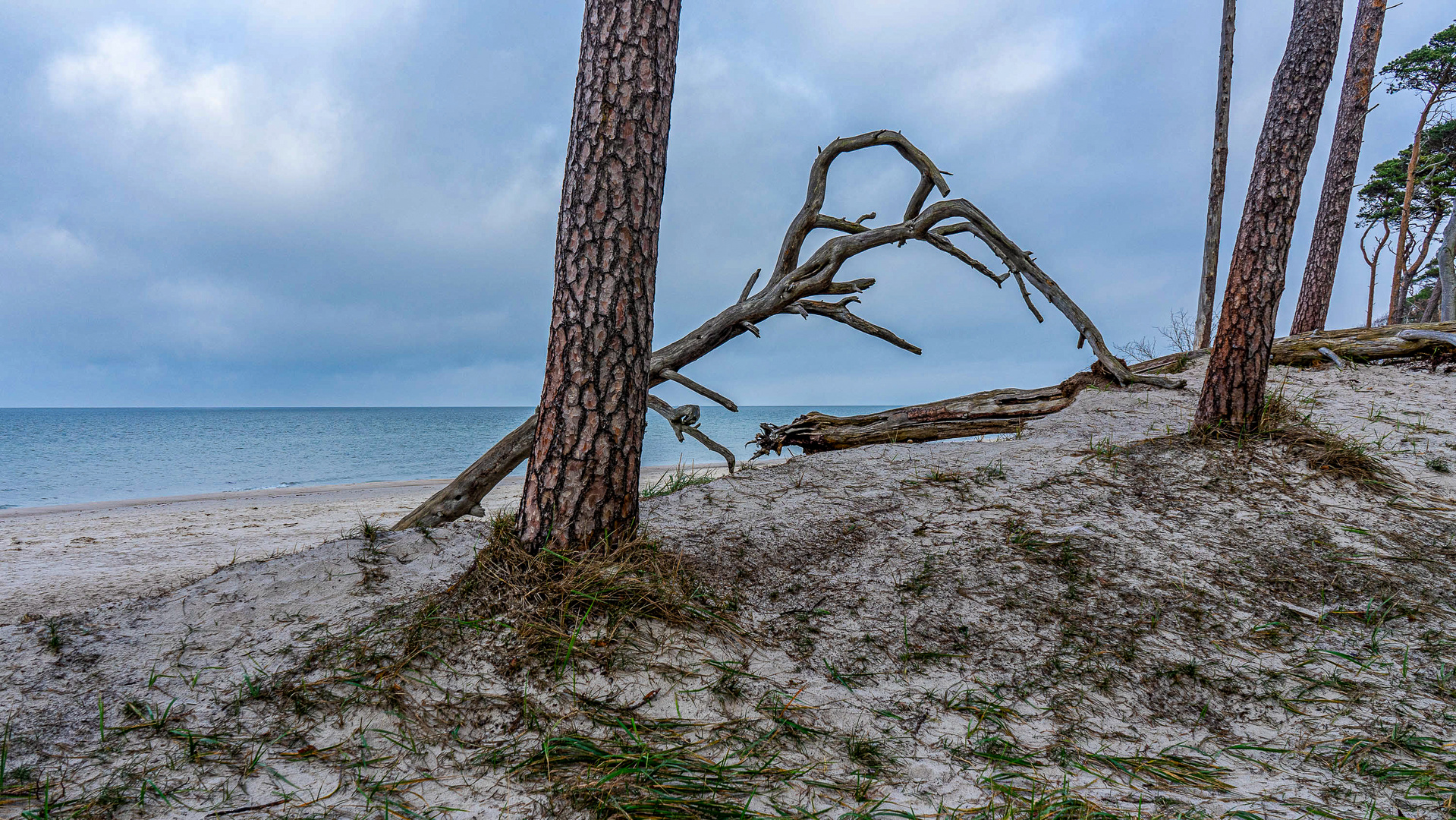 Fotomotive am Ostseestrand... 