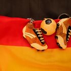 Fotoolympiade 2014 Thema: Weltmeister (1 Platz)