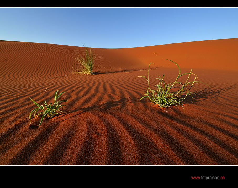 Fotoparadies Wüste Namib