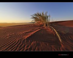 Fotoparadies Wüste Namib II