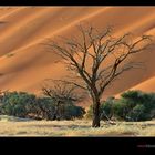 Fotoparadies Wüste Namib III