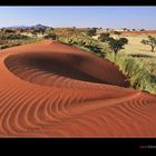 Fotoparadies Wüste Namib IV