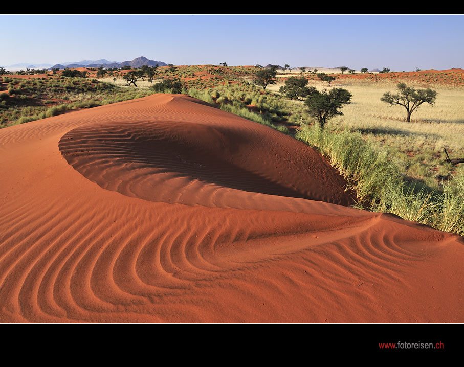 Fotoparadies Wüste Namib IV