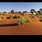 Fotoparadies Wüste Namib V