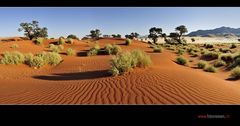 Fotoparadies Wüste Namib V