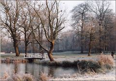 Fotopirsch im Winter