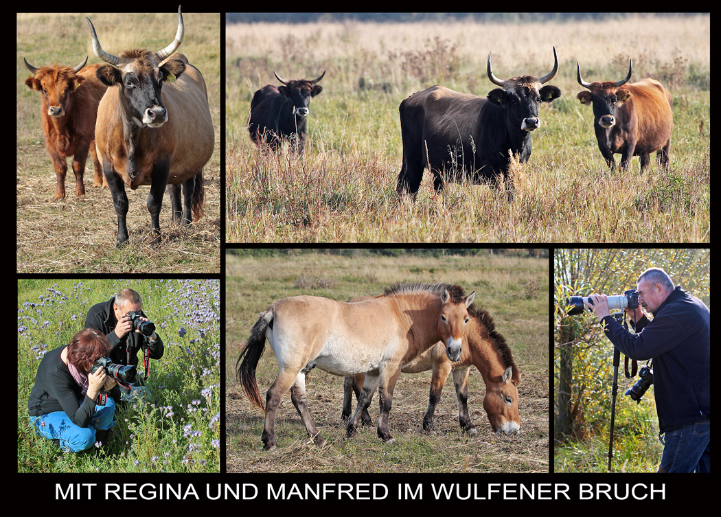 FOTOPIRSCH IM WULFENER BRUCH