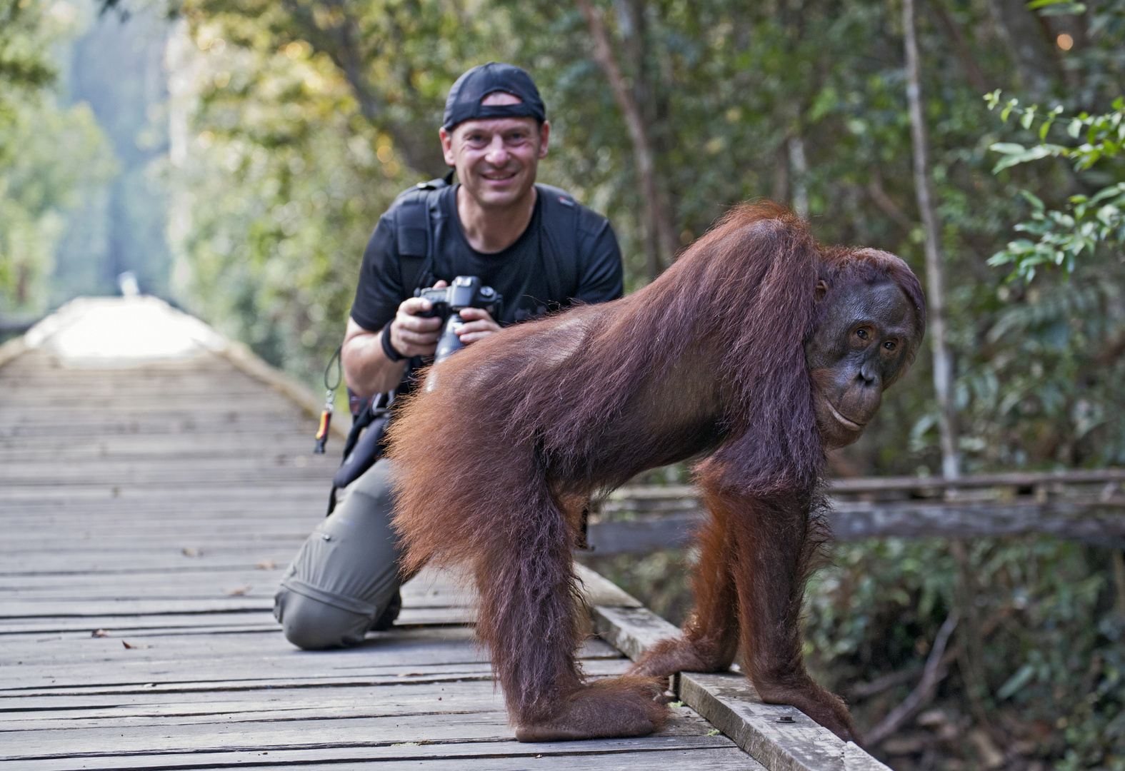 Fotopirsch in Borneo