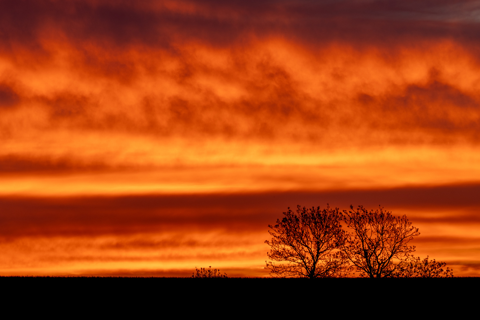 Fotoreise ins Böhmische Mittelgebirge - Sonnenaufgang mit 200 mm