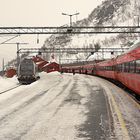 Fotoreise Norwegen Januar 2020: Bergensbanen und Flåmsbana